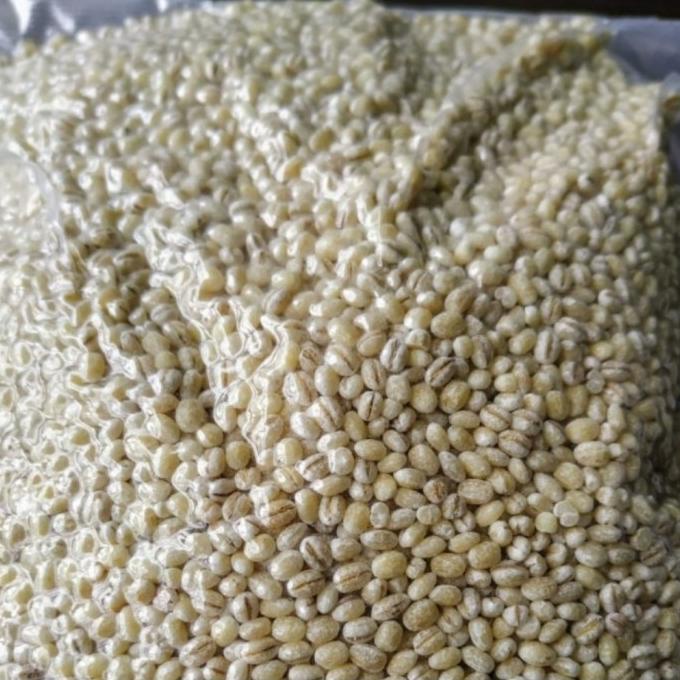 

TERMURAH Jali-Jali / Barley / Jangle, @ 1 Kg AP195