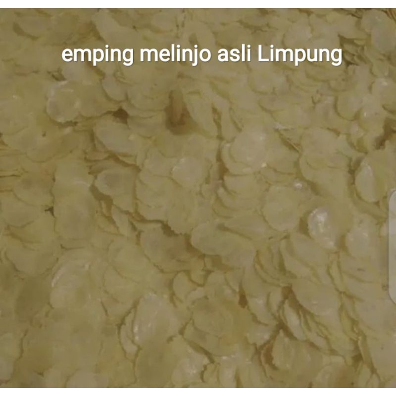 

EMPING MELINJO SIAP GORENG MANTAP 1/2 kg