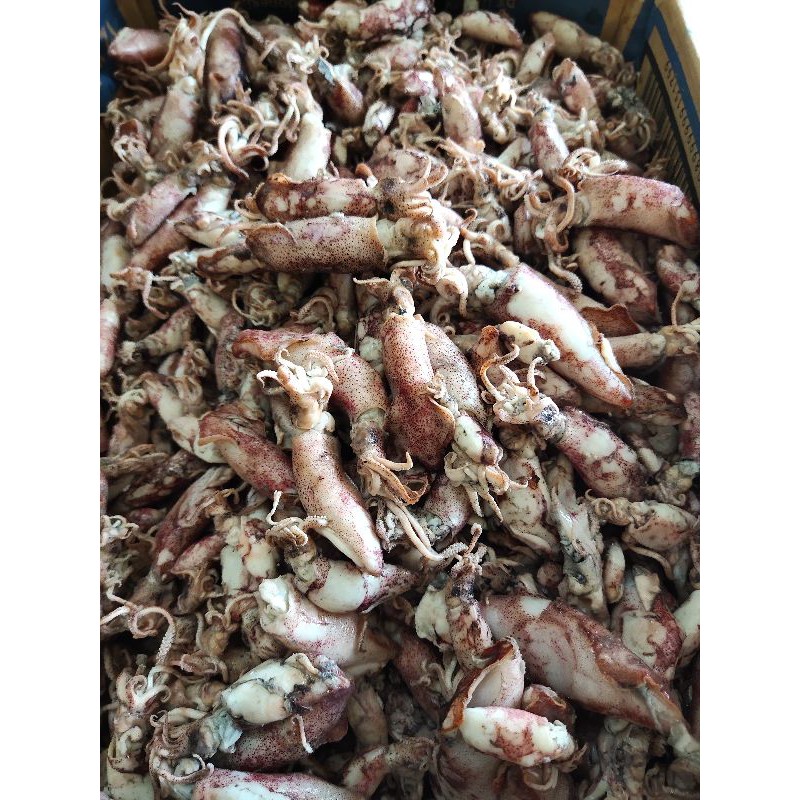 

Cumi asin Sotong 100gr-250gr