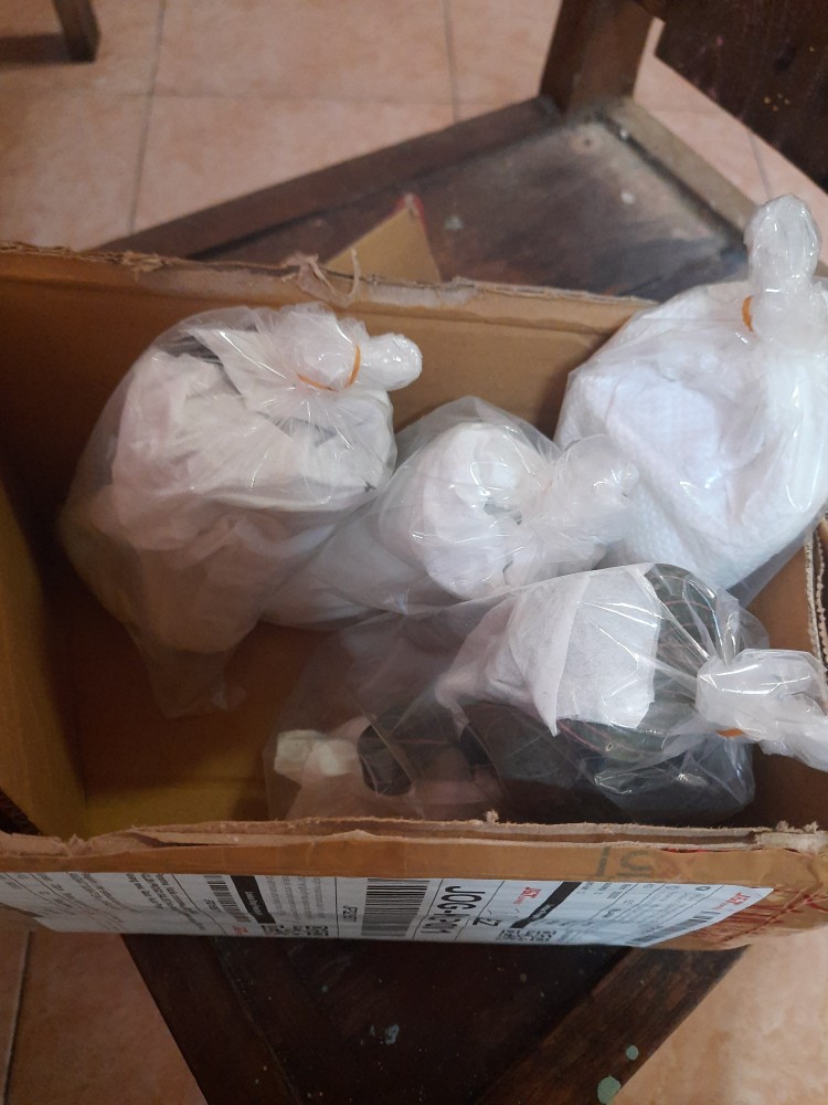 Aglonema Rotundum Aceh Bibit2-3daun Baby Minim Order 5plant