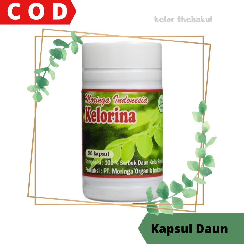 

Kapsul Daun Kelor Kelorina Multivitamin Suplemen Tubuh Anti Stunting