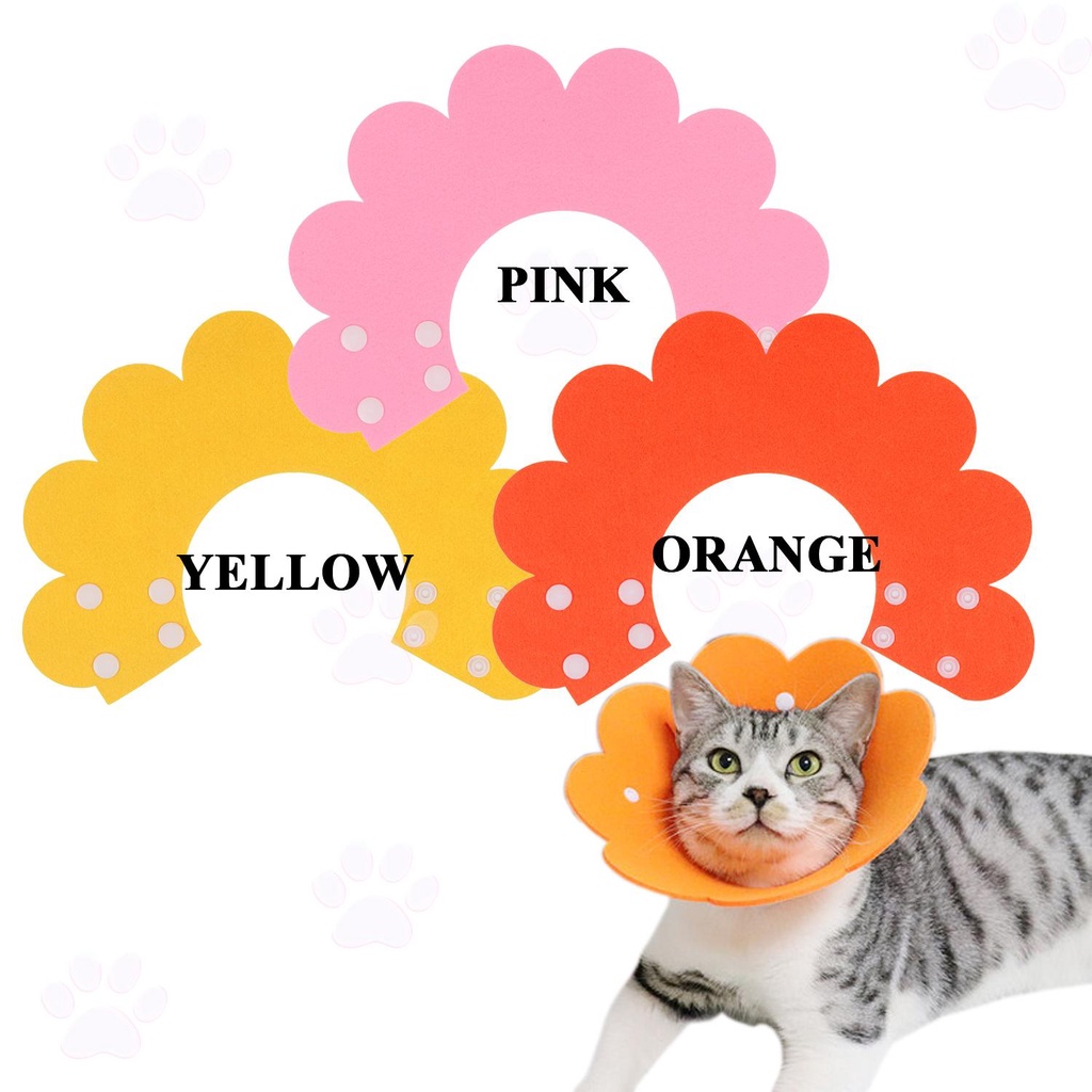 Solighter Cat Recovery Collar Home Adjustable Elizabethan Collars Cat Cones Setelah Operasi