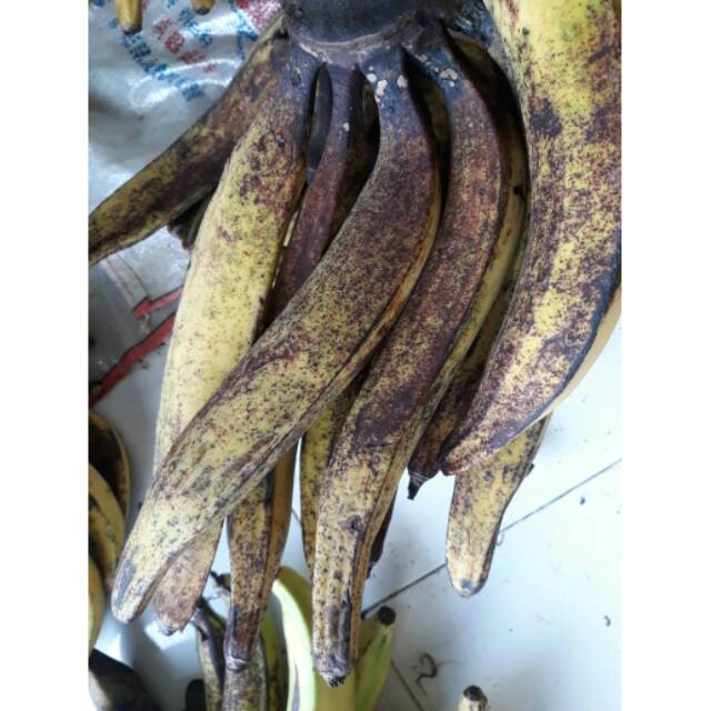 

Pisang tanduk 1 buah