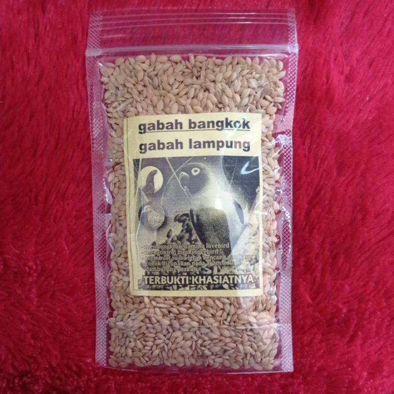 gabah bangkok pakan burung lovebird perkutut bagus murah sehat birahi stabil gantangan lomba