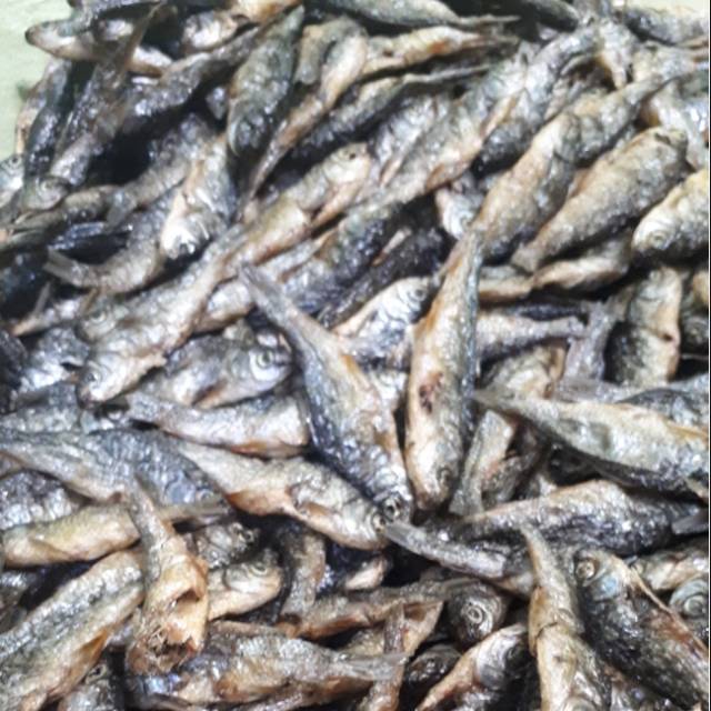 

IKAN BILIH 1kg