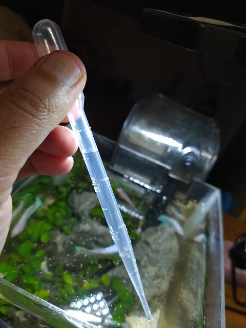 Pipet plastik 3ml / pipet pakan kutir , DM , jentik dan cacing