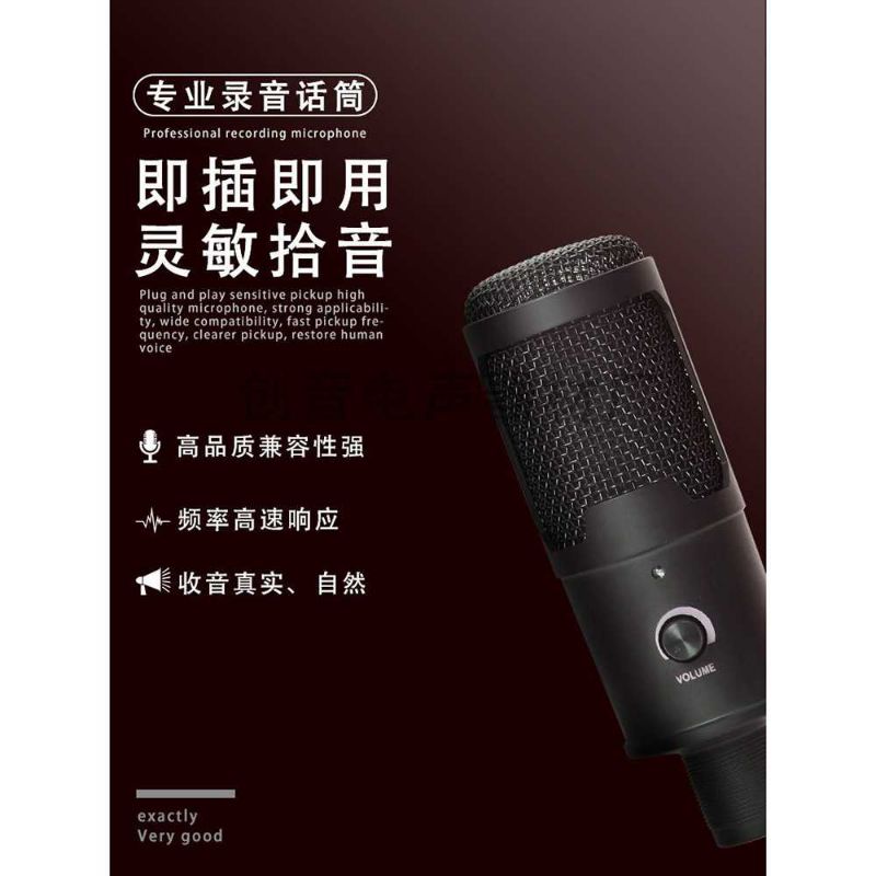 Microphone Condenser USB Mikrofon with Stand UD-800