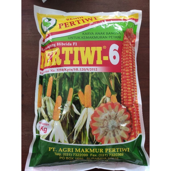 jagung pertiwi 6