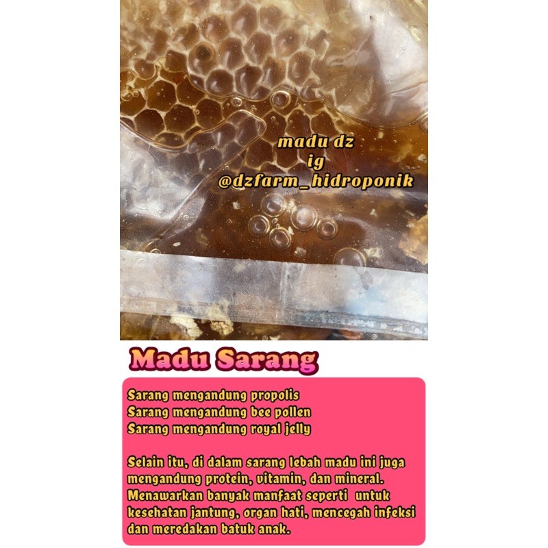 

Madu Sarang (Honeycomb) Forest pesanan customer