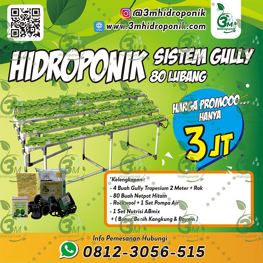 PAKET INSTALASI HIDROPONIK SET STARTER KIT 80 LUBANG GULLY TRAPESIUM