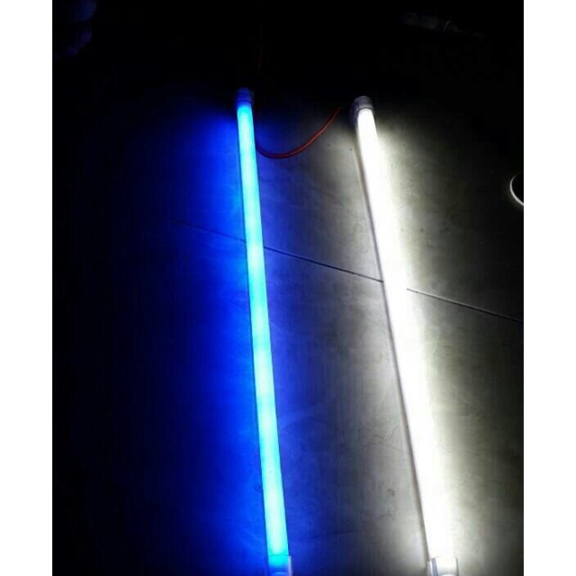 LED DRL Flexible 30cm Lampu Alis Neon Motor Mobil Putih Biru