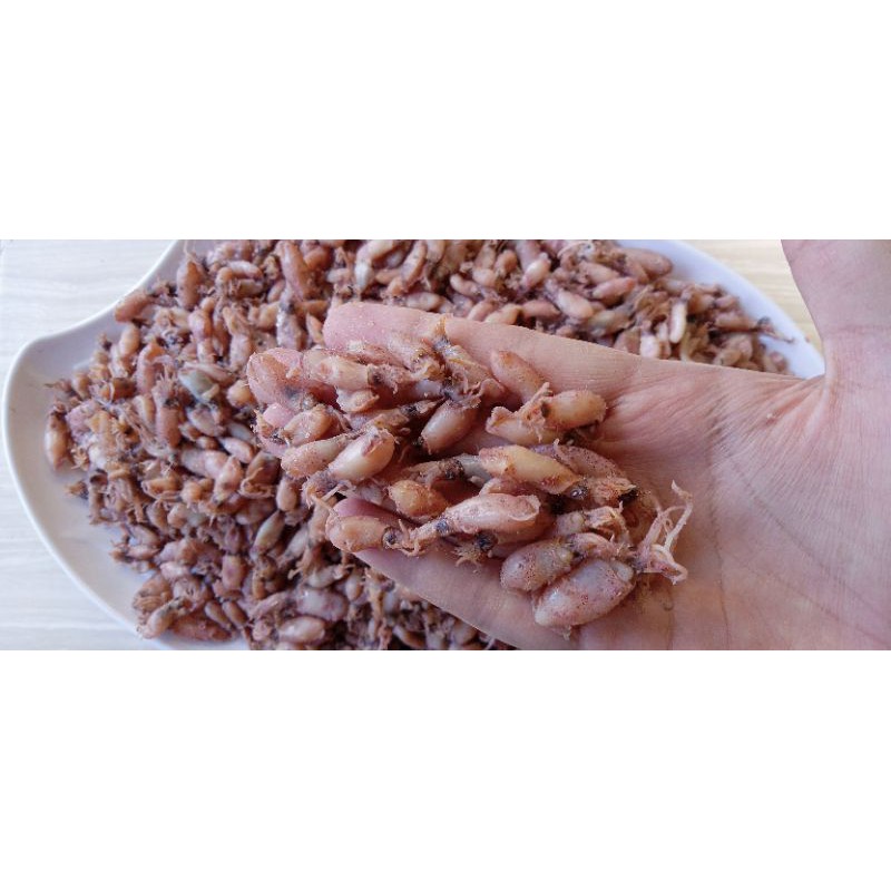 

BABY CUMI 1KG 0.5-2 cm