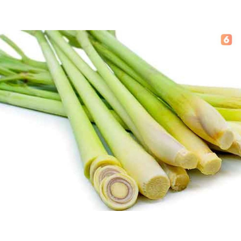 

DAUN SEREH(lemongrass leaves, Cymbopogon)/100gr