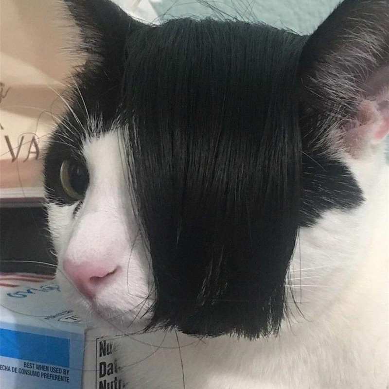 [BOOKED] chibigurumi kaeya