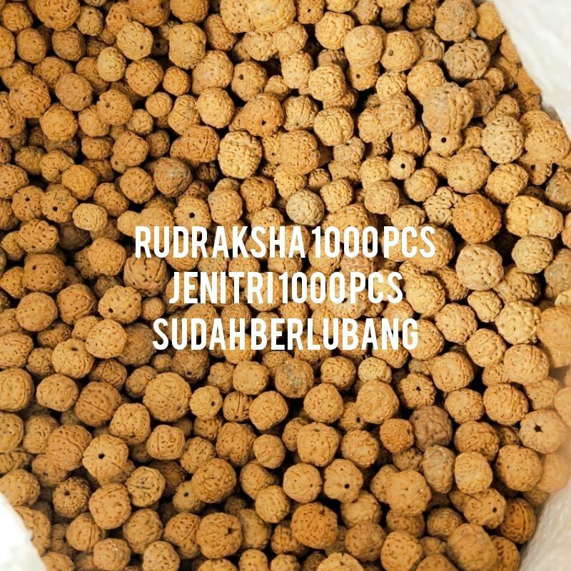1000 butir bahan kerajinan jenitri Original
