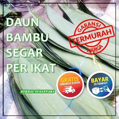 

1 IKAT DAUN BACANG DAUN KICANG DAUN BAMBU SEGAR ISI 50 LEMBAr UKURAN JUMBO