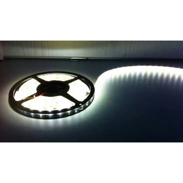 TER LARIS -  Lampu Led Strip Roll 5050 SMD Putih 12&24 Volt