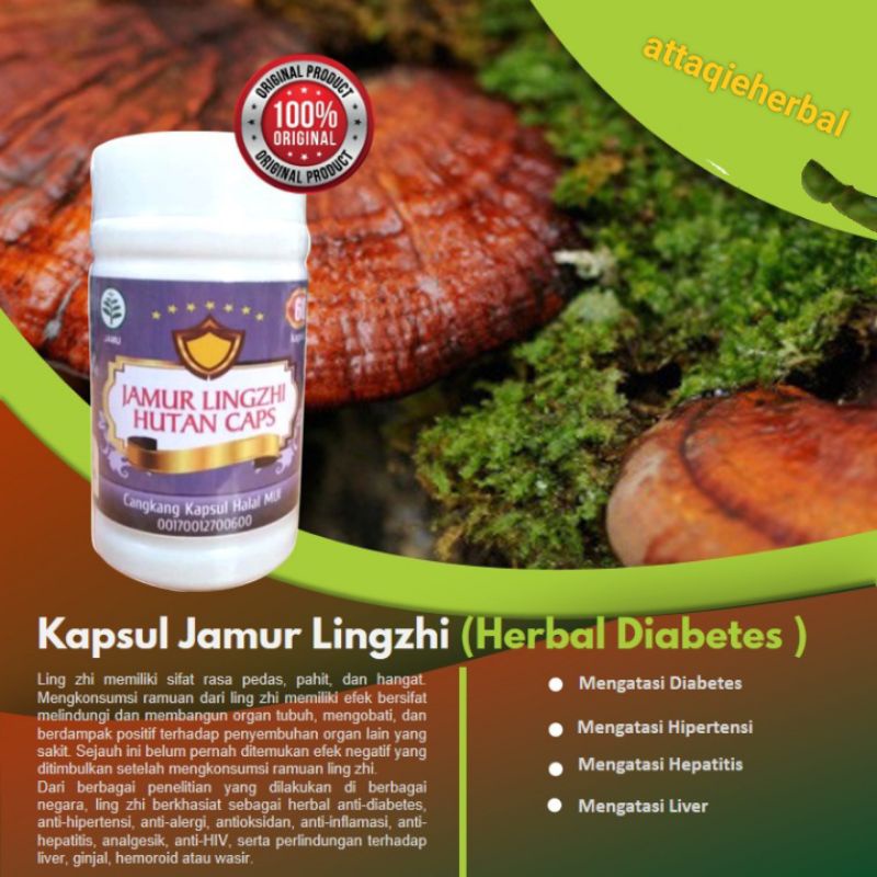 

JAMUR LINGZI EXTRAK ORIGINAL MENJAGA FUNGSI HATI