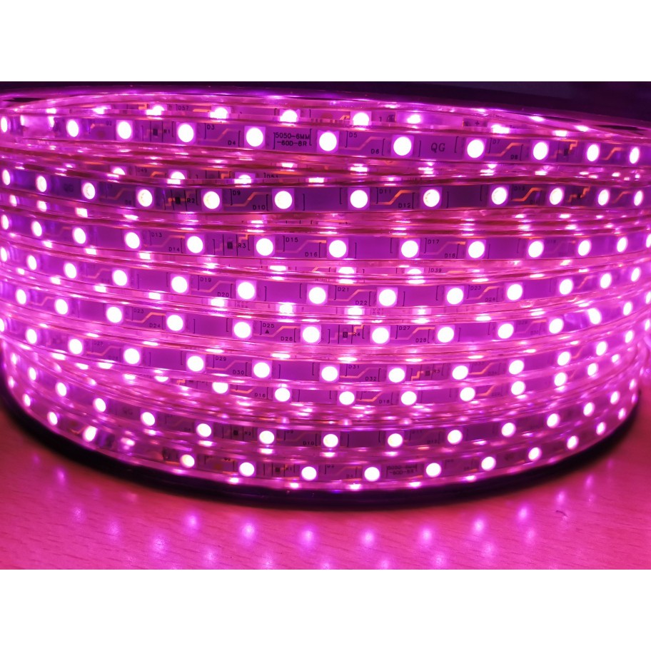 Lampu led strip selang SMD 5050 220v 100m 100 meter lampu led strip