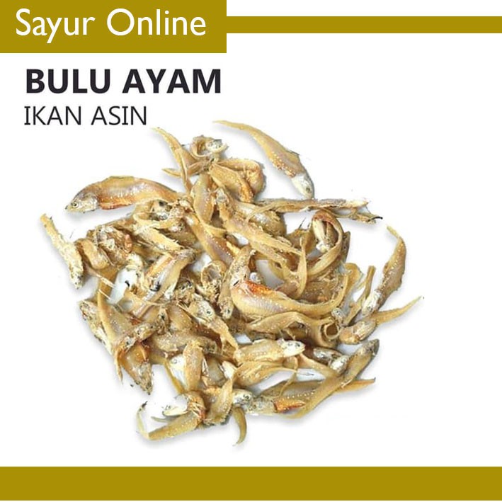 

[SayurOnline] IKAN ASIN BULU AYAM [100g]