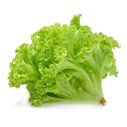 

Selada 250gr [Jaminan Kualitas]