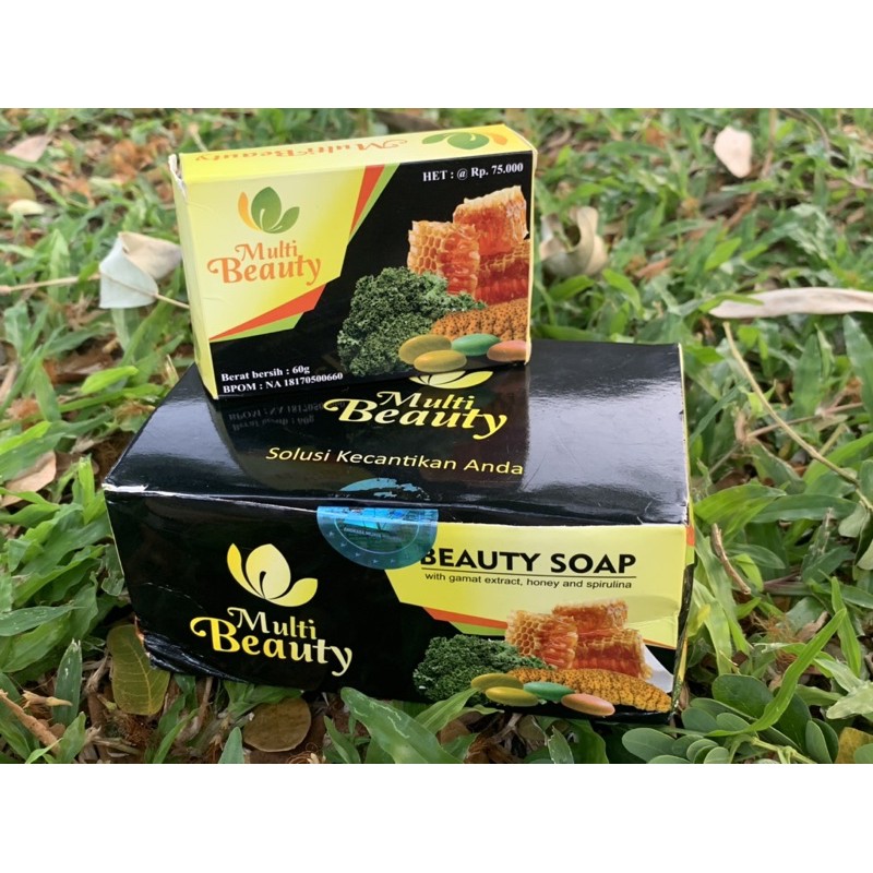Multi Beauty Soap MBS
