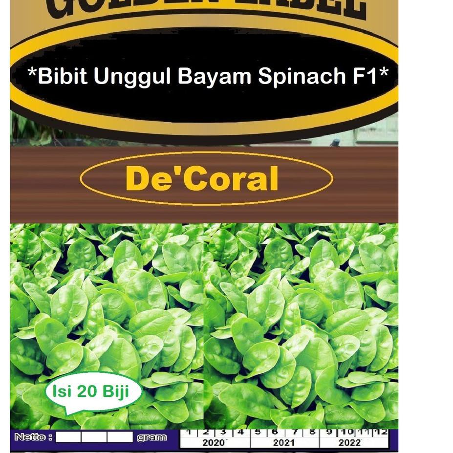 (Terbaik) Bibit Unggul Bayam Spinach F1 | Benih Bayam Brazil