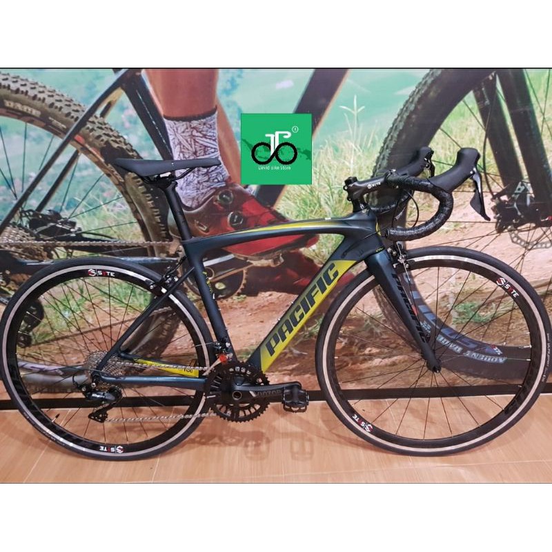 Sepeda Balap 700c Pacific Primum 5.3 TERBARU