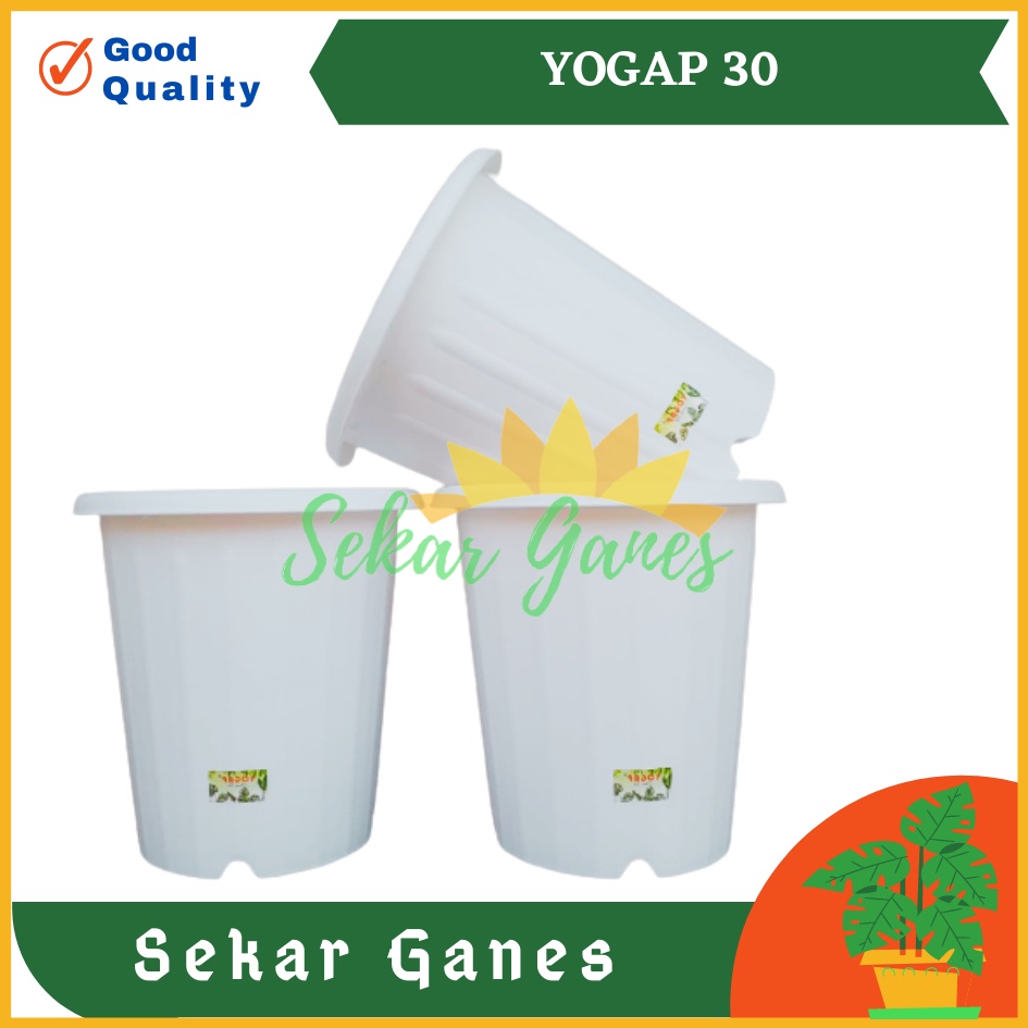 Sekarganes Pot Yogap 30 Putih Transparan Bening Merah Bata Pot Yogap Yoga Uk Mirip Pot Tawon Pirus 27 30 35