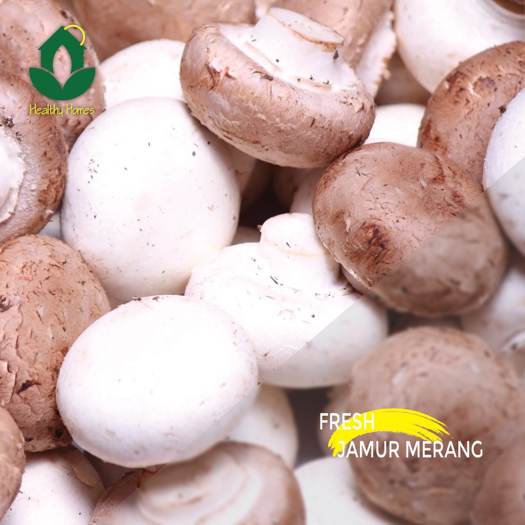 

Jamur Merang 250gr Jabodetabek