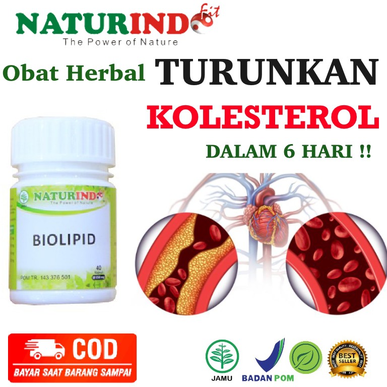 Obat Herbal Penurun Kolesterol Tinggi Obat Kolestrol Darah Tinggi Obat Kolesterol Herbal Ampuh Shopee Indonesia