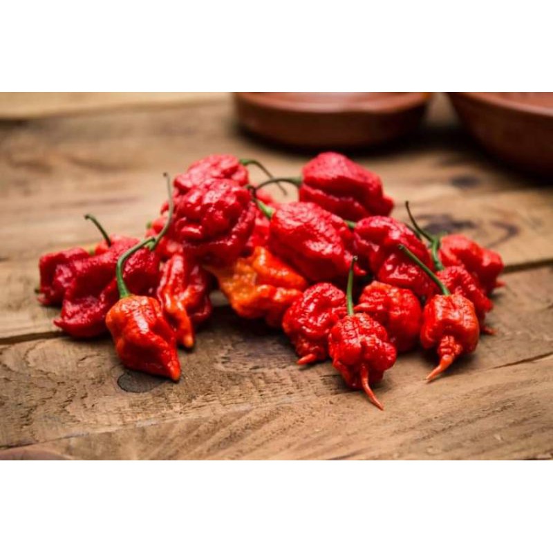 Seed Carolina Reaper