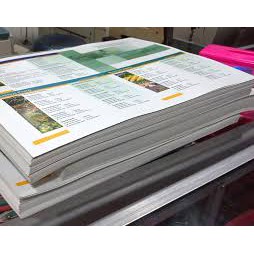 Jasa Cetak / Print (PRINT WARNA) Dokumen, Skripsi, Makalah, Proposal Dll