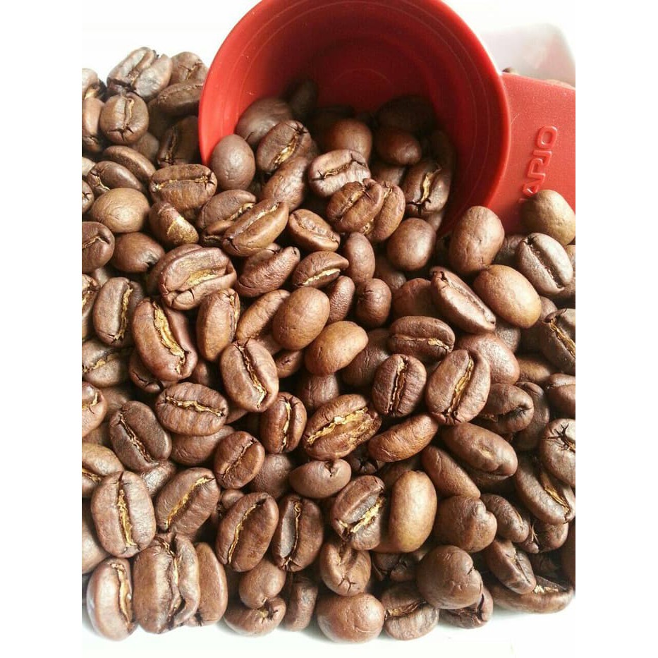 

Kopi Gayo Premium Arabika 100 gr