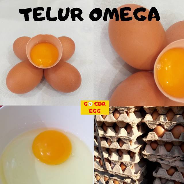 TELUR OMEGA 3 ISI 30 BUTIR BUAT TOKO RAMEN-TOKO KUE-TOKO ROTI