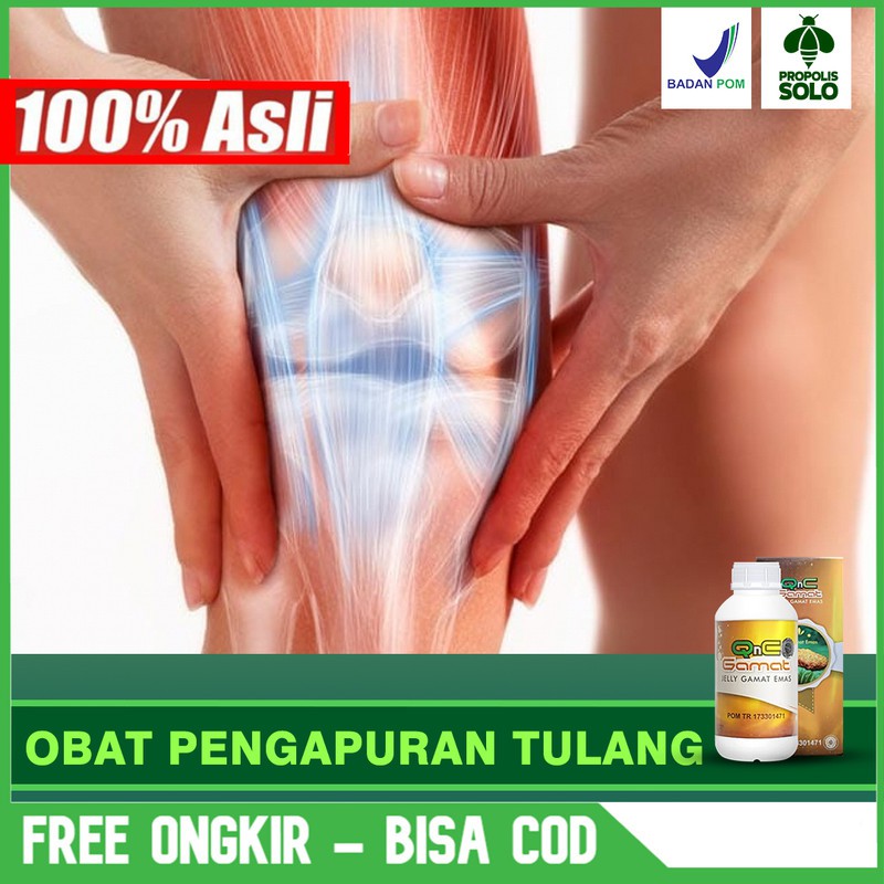 

Obat Pengapuran Tulang, Lutut, Sendi Yang Aman QNC Jelly Gamat Herbal Terlaris Bisa COD