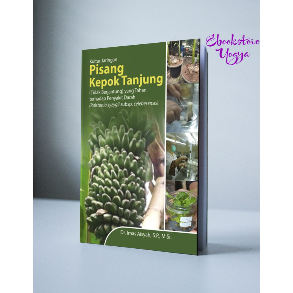 Kultur Jaringan Pisang Kepok Tanjung