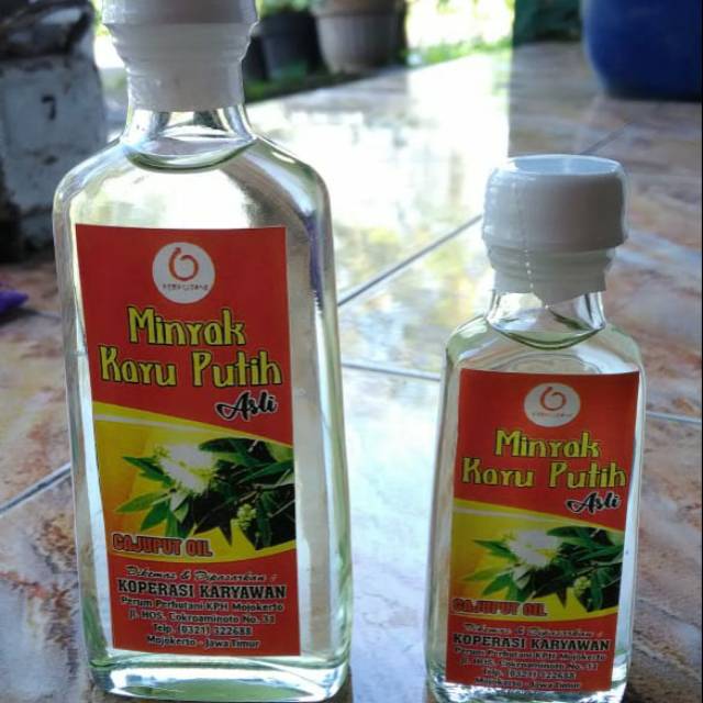 Minyak kayu putih asli