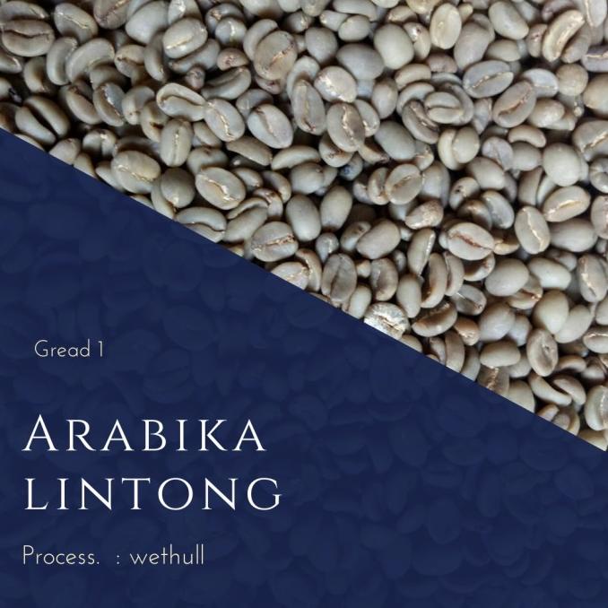 

arabika green bean lintong peroses wethull