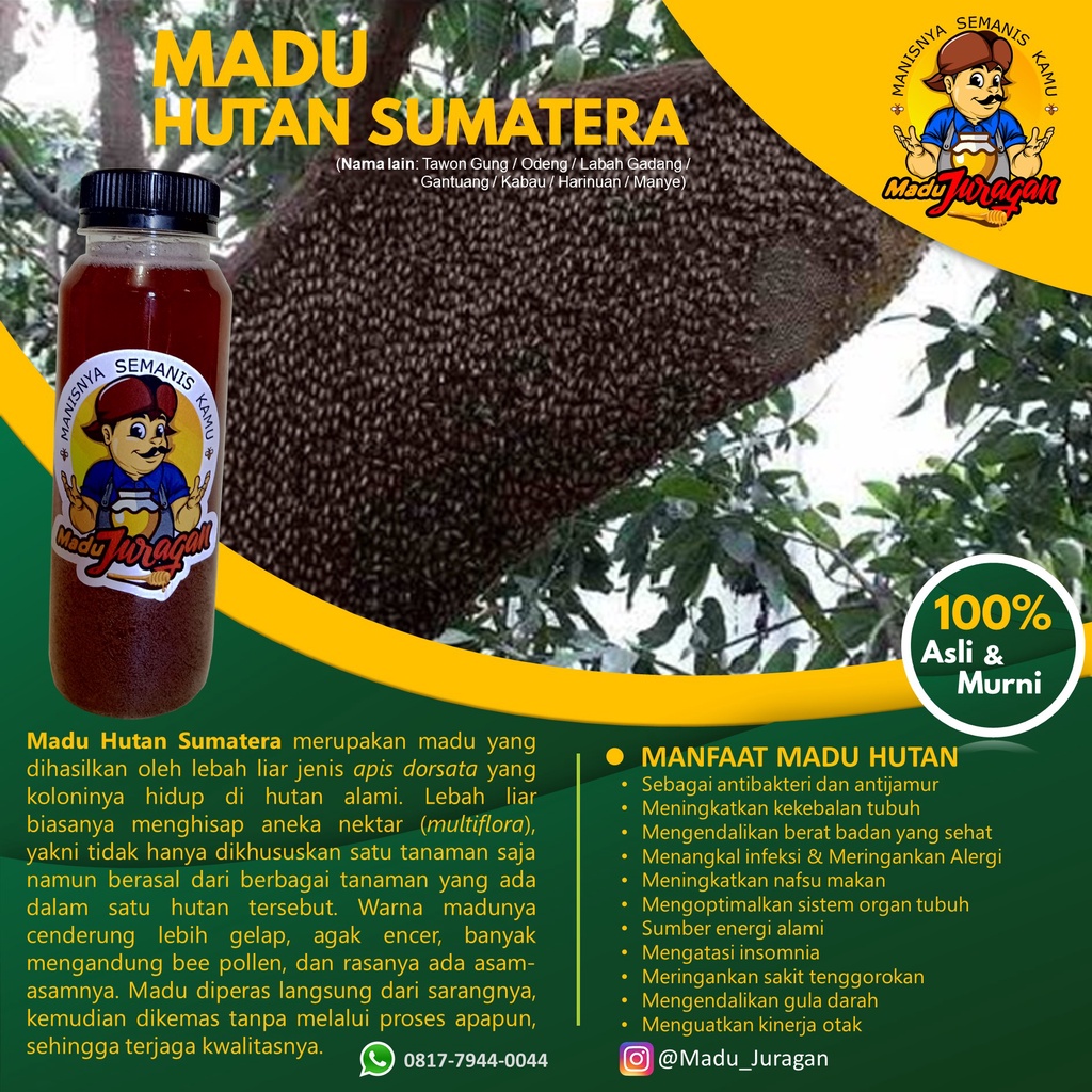 

Madu Hutan Sumatera Asli dan Murni