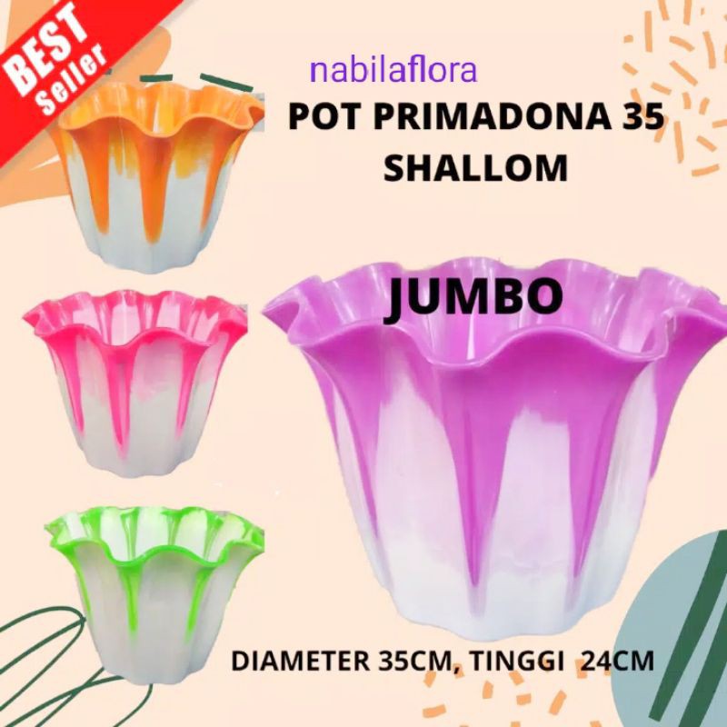 PROMO  POT PRIMADONA 35 SHALLOM (JUMBO)