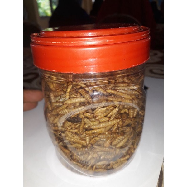 

Dried Maggot