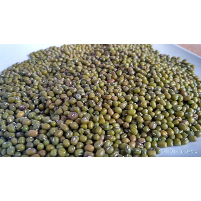 

10cscss Kacang Hijau 1/2 Kg Dscscv