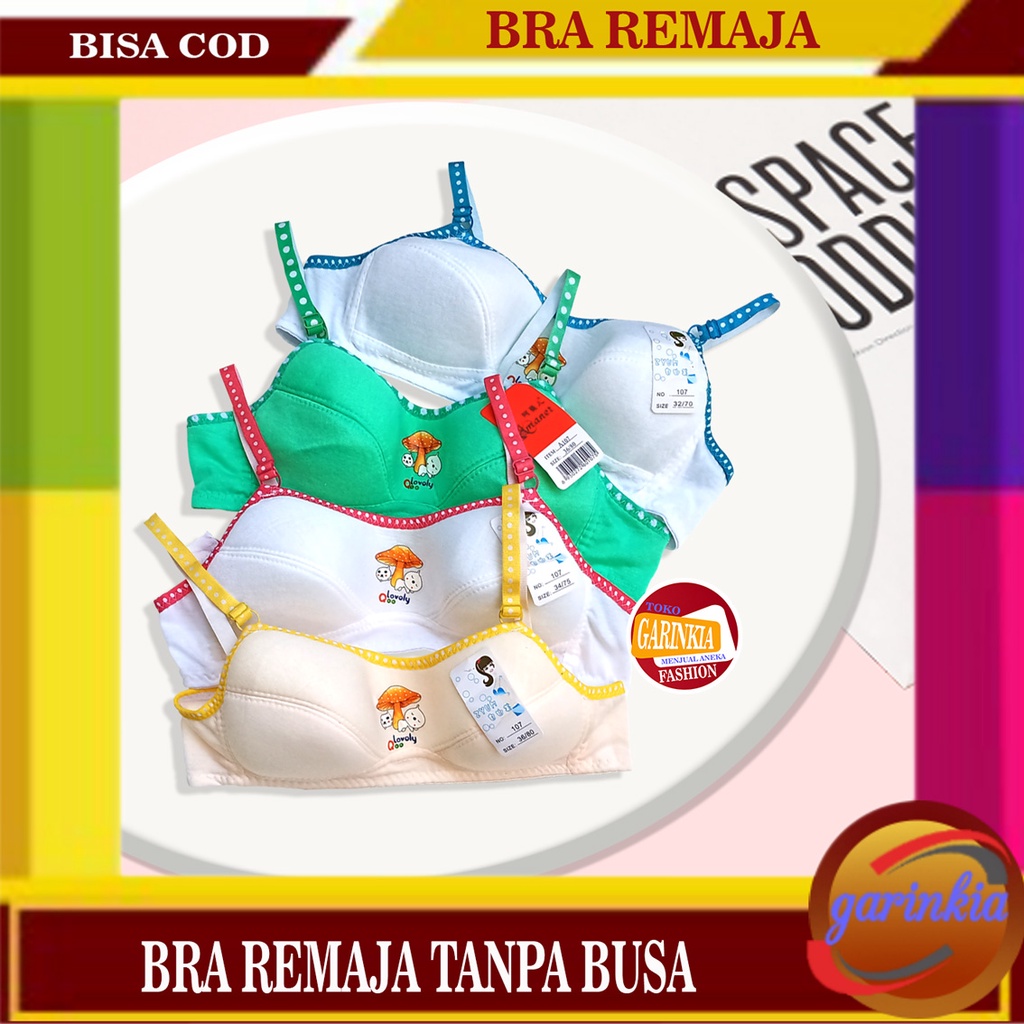 Bh Kutang Bra Anak Remaja Smp Sma Tanpa Kawat Dan Busa Kait 2 Size 32 34 36 Murah