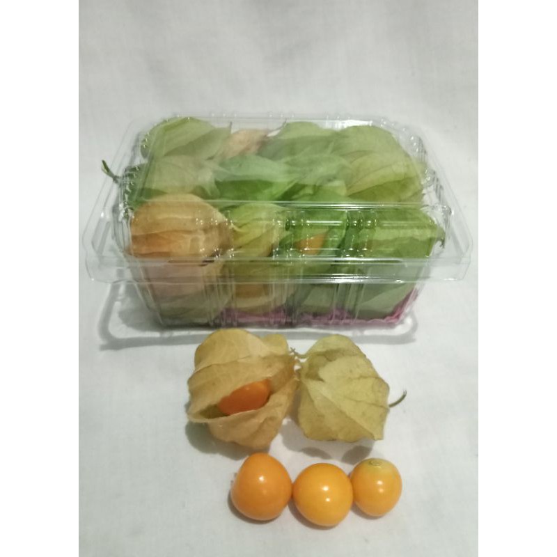 

buah ciplukan segar organik 100gr