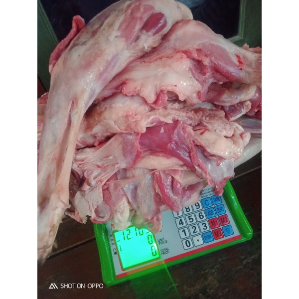 

daging domba muda bagiab paha dijamin fresh segar 1kg