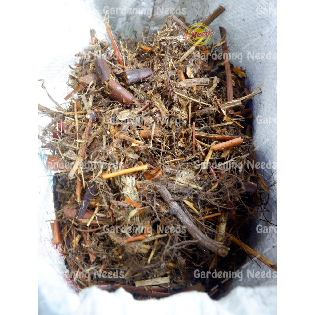 Media Tanam Andam Daun Andam Media Tanam Aglonema Karungan