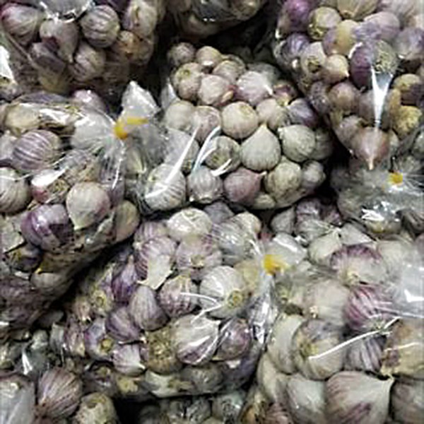 Bawang Putih Tunggal Lanang Import / Bisa utk Campuran Madu Bawang Botol
