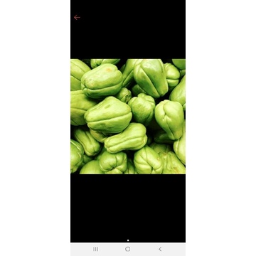 

labu siam 1kg