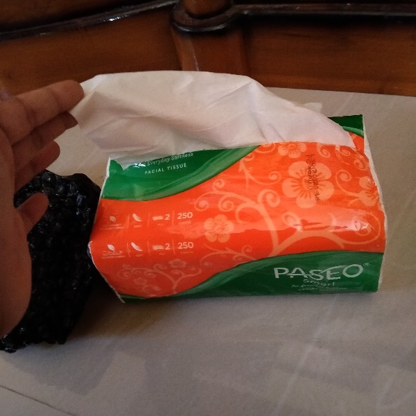 Tissue Paseo 250 Sheet 2 Ply